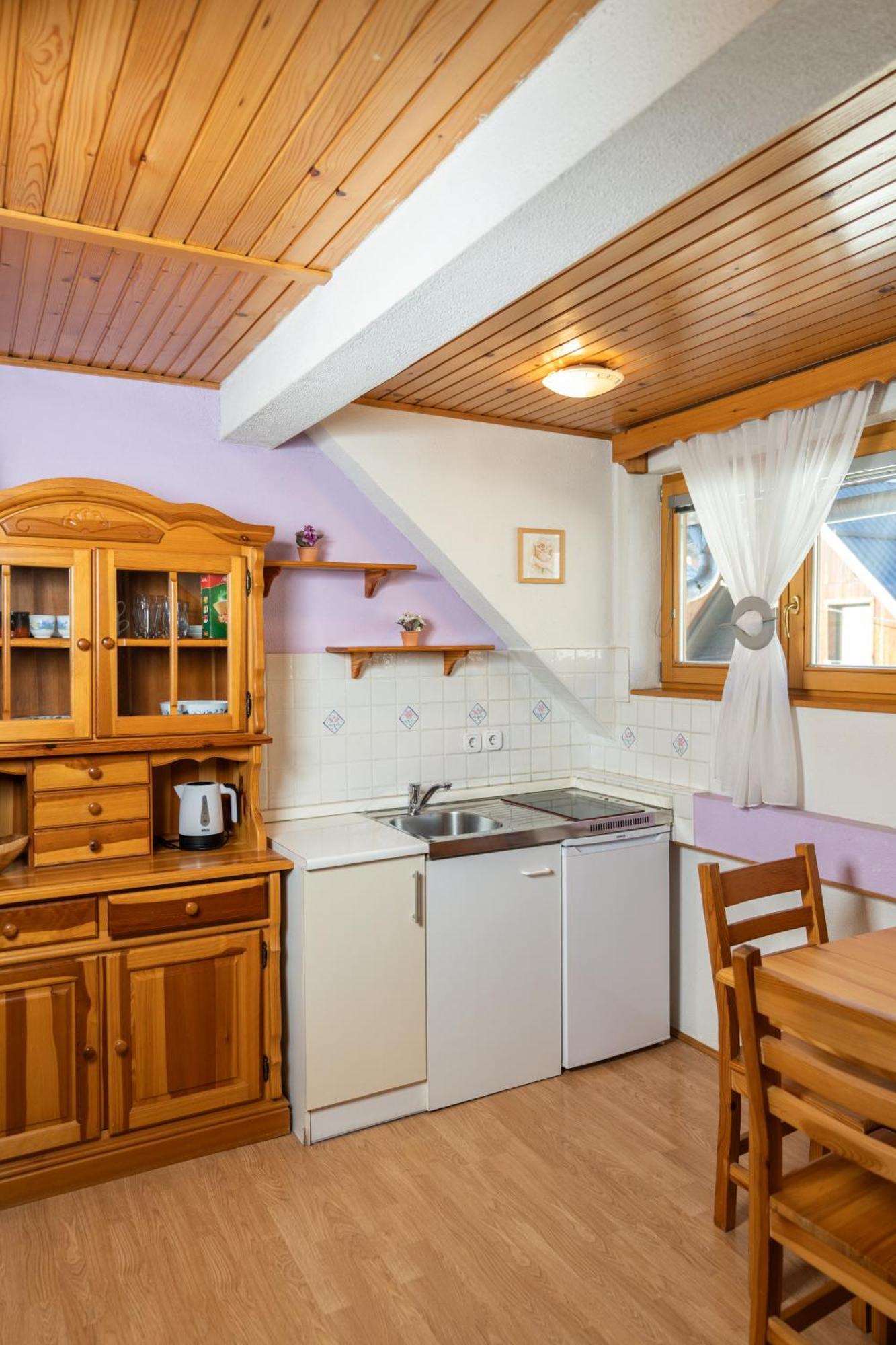 Apartments And Rooms Hodnik Slavko 보히니 외부 사진